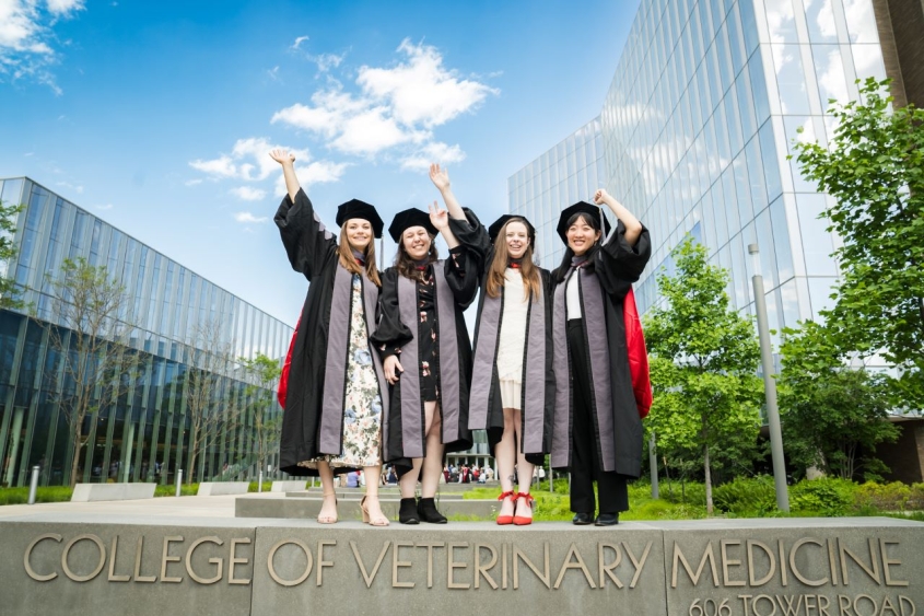 Four D.V.M. graduates waving as they stand outside of CVM's main plaza