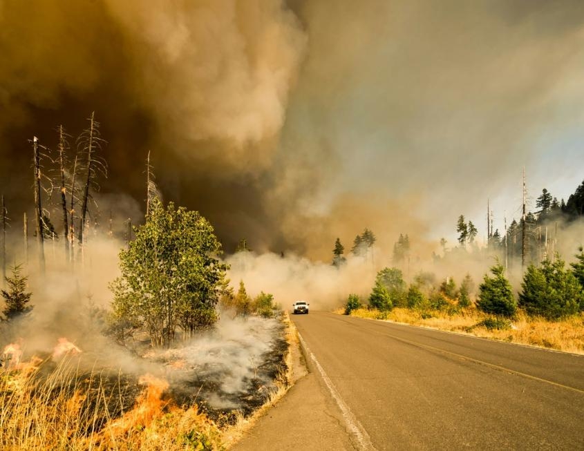 A car driving away from a wildfire