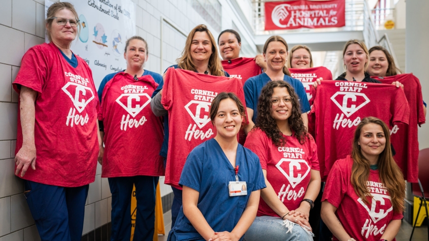 The animal care attendant team