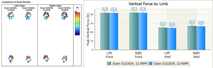 Graph read-outs illustrating the high tech in use by the service