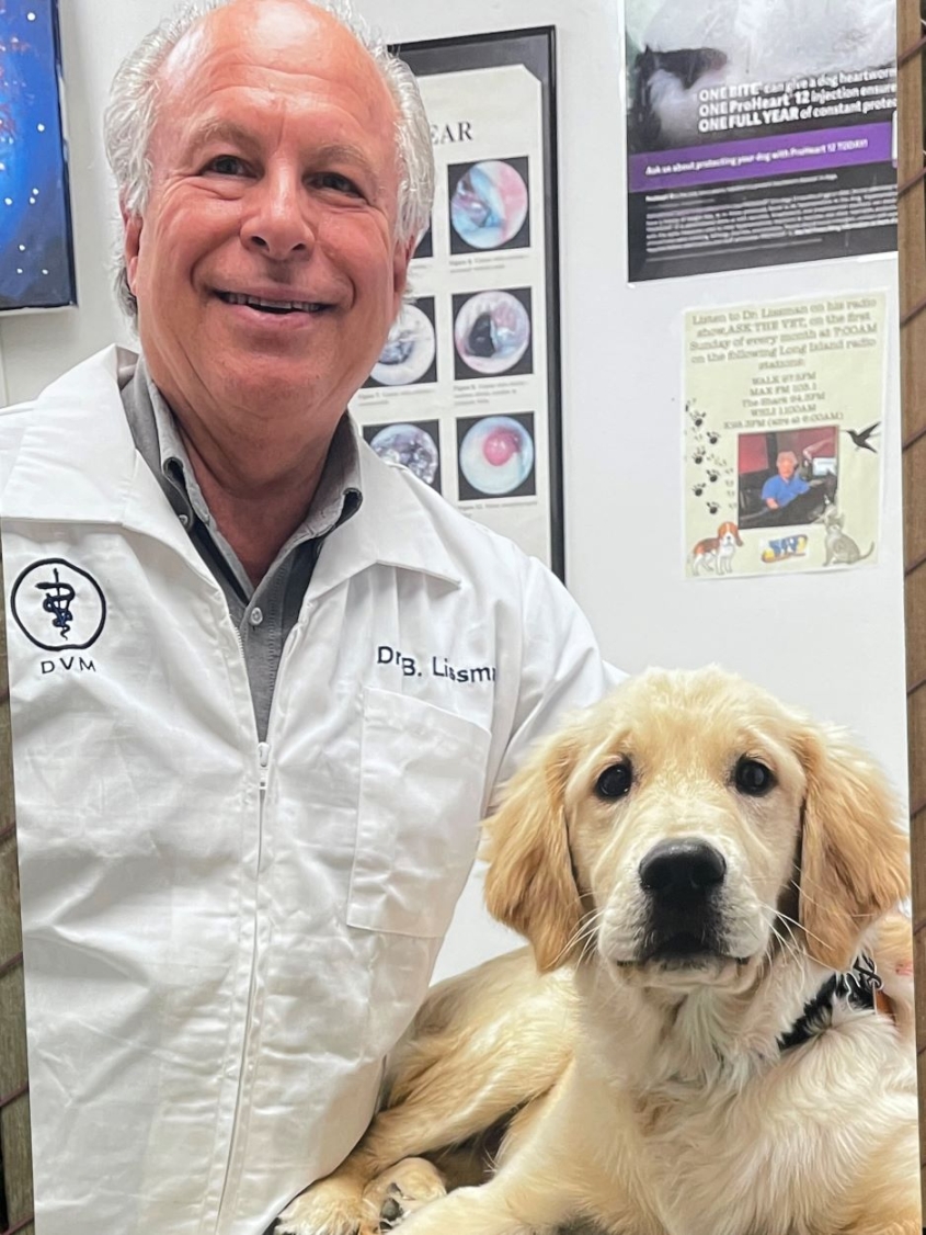 Lissman and golden retriever puppy