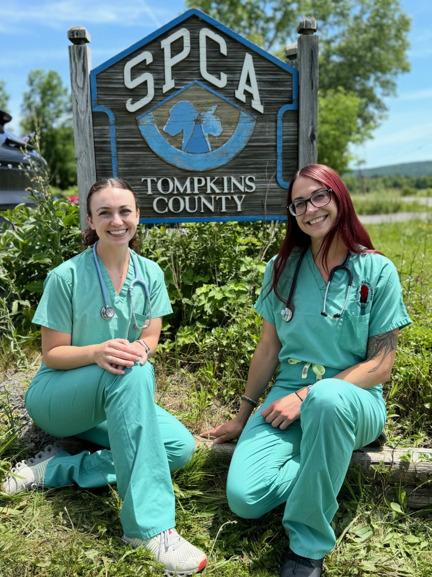 Kara Kochek and Megan Barry 2024 MSMP Interns