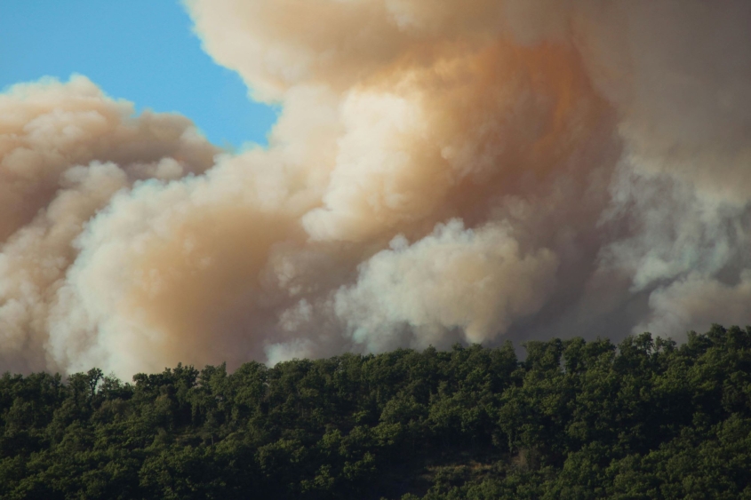 wildfire smoke