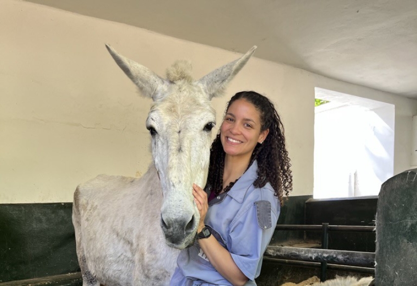 Veterinary student and white mule