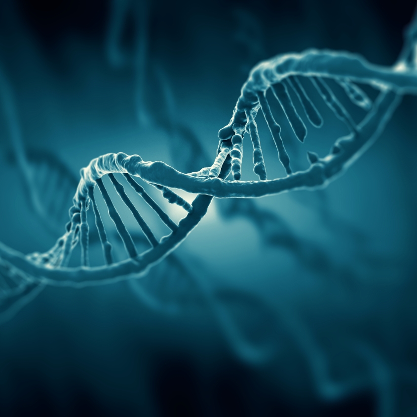 Genetics and Genomic Function