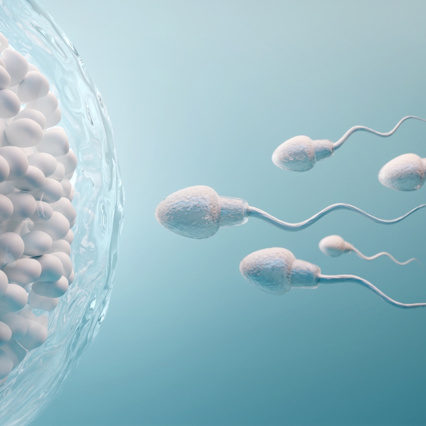 Reproductive Sciences and Women's Health