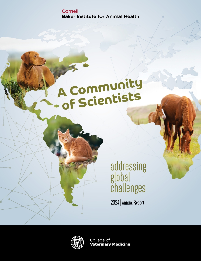 The cover of the 2024 Baker Institute Annual Report, featuring a dog, cat and horse displayed on a globe.