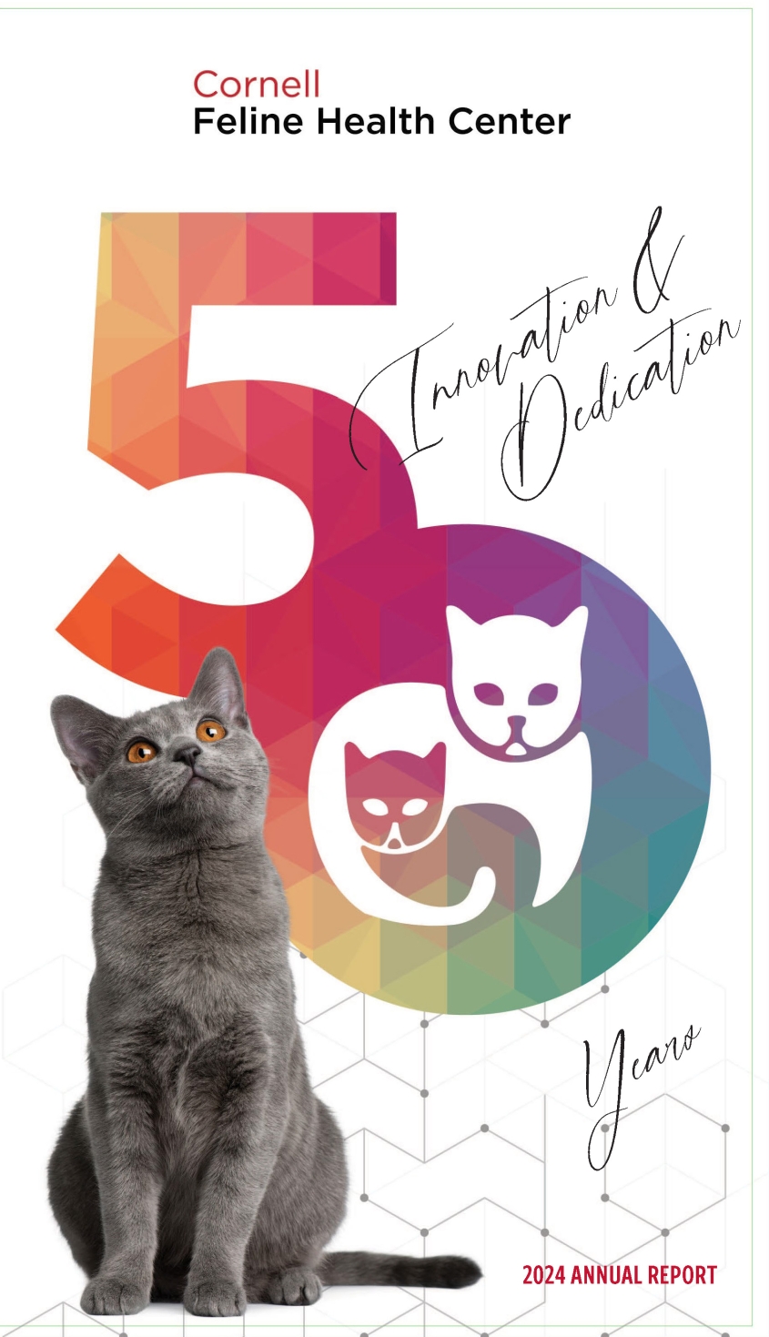 Front cover of the FHC annual report, which shows a cute kitten and a graphic depicting a 50th anniversary FHC logo.