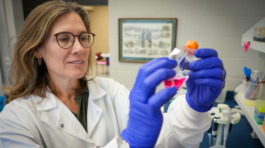 Dr. Mandi de Mestre examines an item in her lab