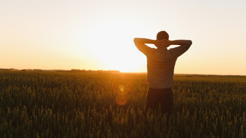 A man in a field facing a sunset or sunrise