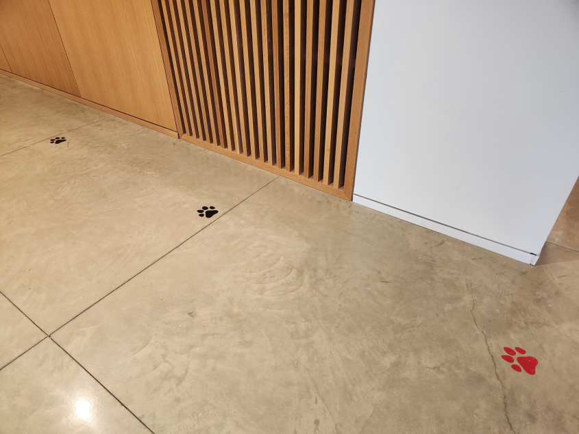 Stickers on the floor in the shape of a dog paw mark