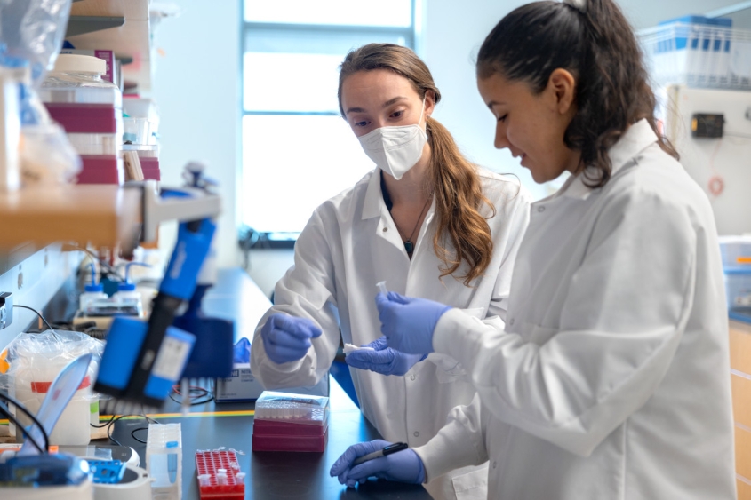 students performing lab work