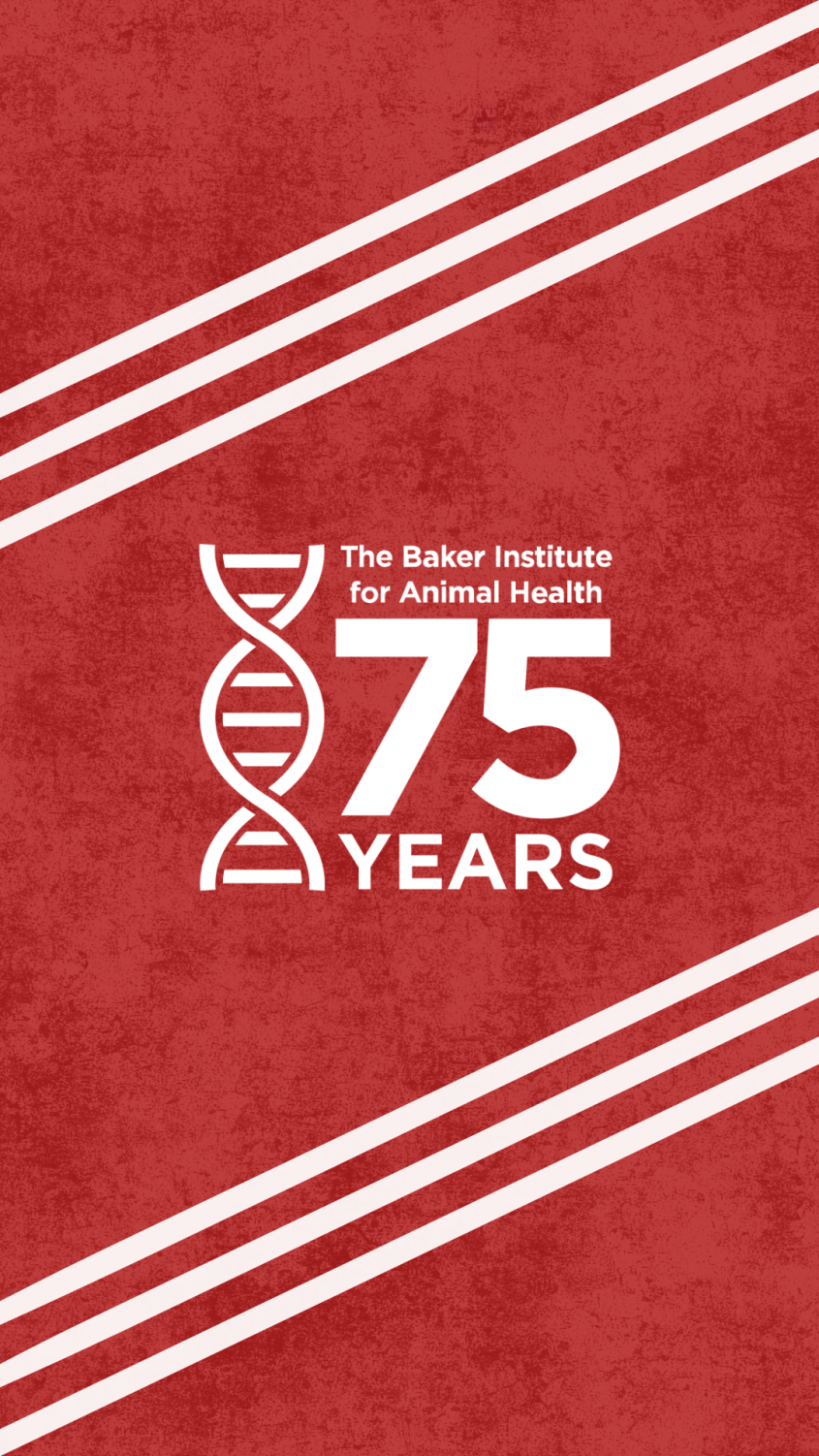 A phone background featuring the Baker 75th graphic on a red background.