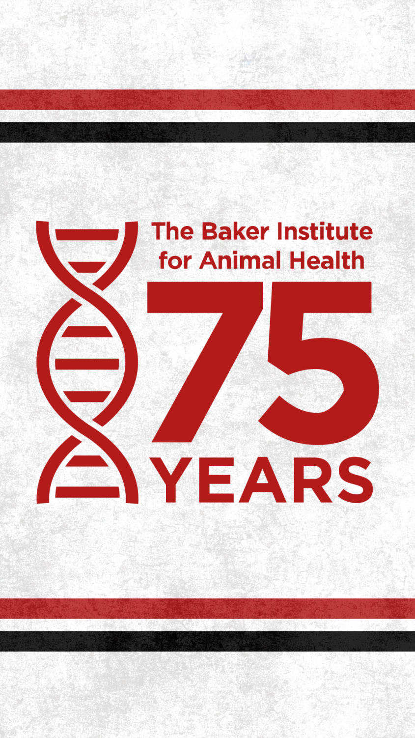 A phone background featuring the Baker 75th graphic on a white background.