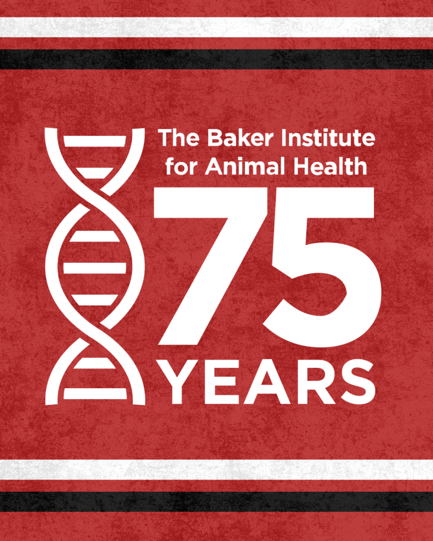 A watch background featuring the Baker 75th graphic on a redbackground.