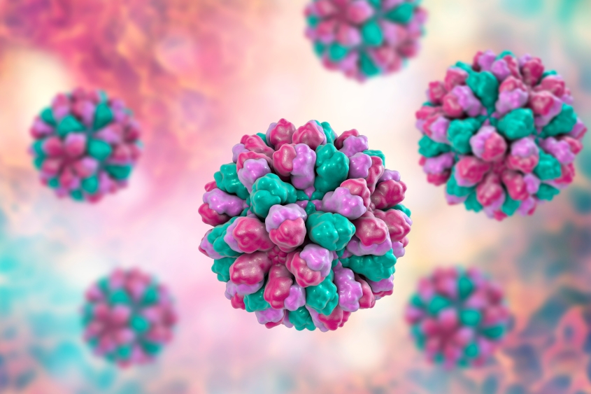 Norovirus, Norwalk, also known as winter vomiting bug, causative agent of gastroenteritis