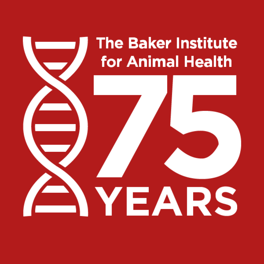 The Baker 75th graphic on red.