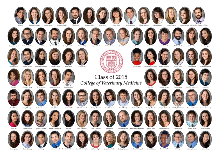 Class of 2015