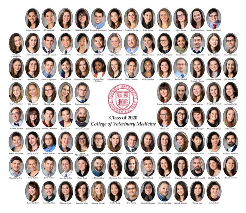 Class of 2020