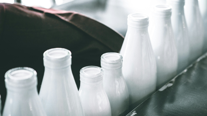 Open jars of milk in a line