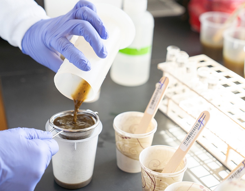 A scientist filtering a liquid
