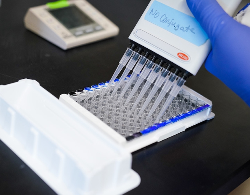 A scientist pipetting samples
