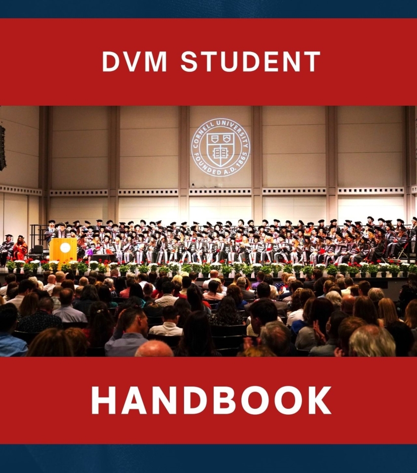 DVM student handbook cover page