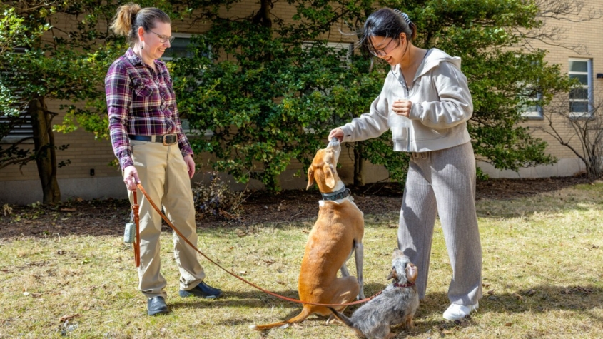 two women and a dog