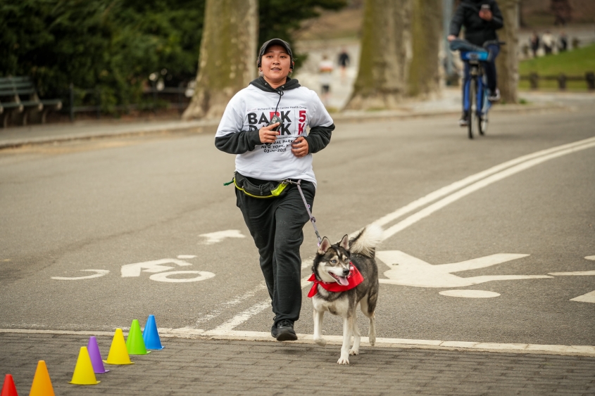A woman run towards the camera with a black and white dog at her side. 