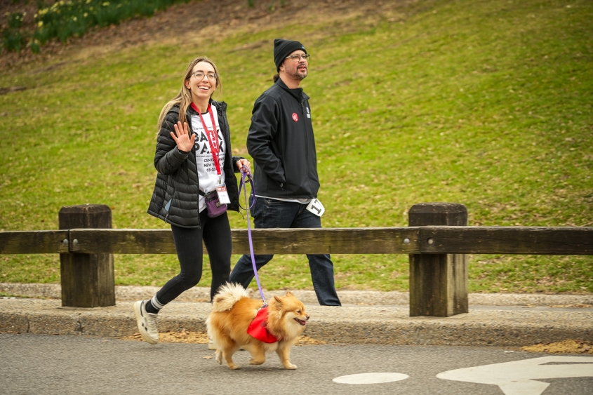 A woman and man walk with a small dog with a grassy hill behind it. 