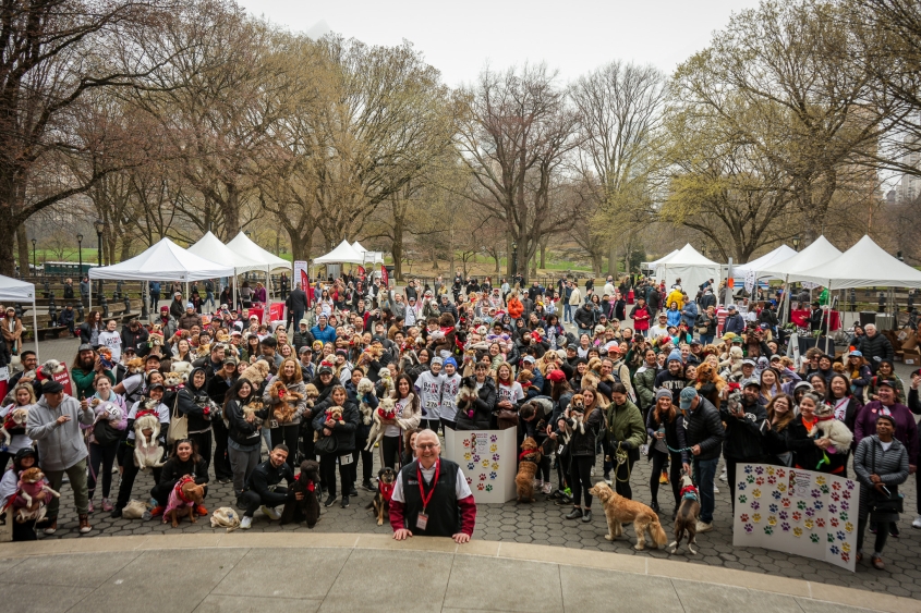 A large group of people standing in Central Park holding up dogs. 