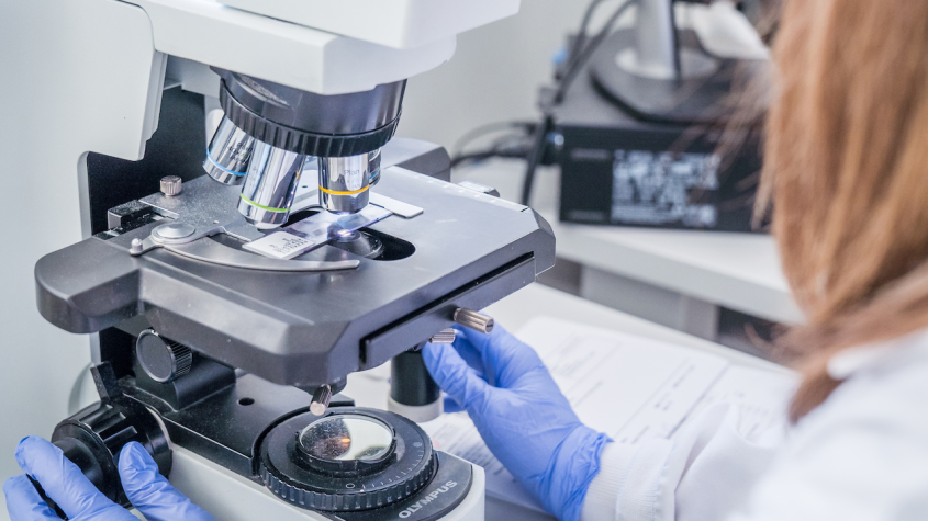 A woman wearing bright purple gloves looks into a microscope in clinical pathology