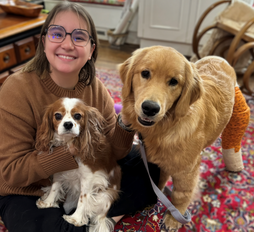 A young woman with glasses surrounded by dogs. 