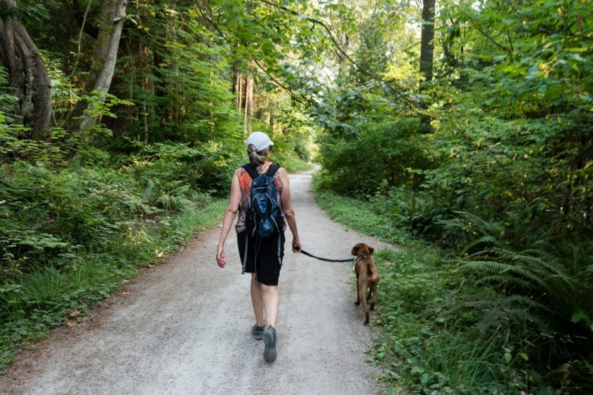 woman walking a dog in the forest