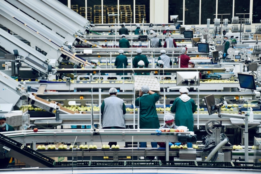 apple processing factory