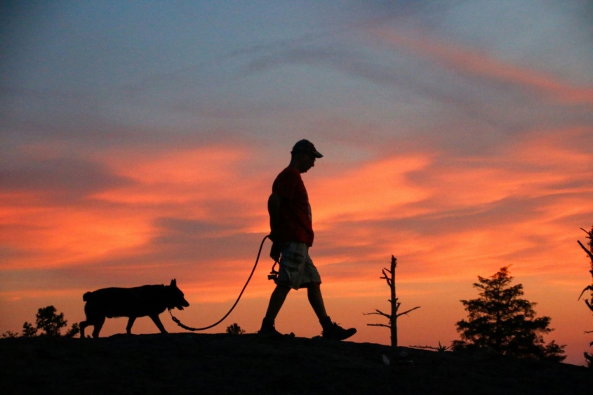 silhouette of man walking dog