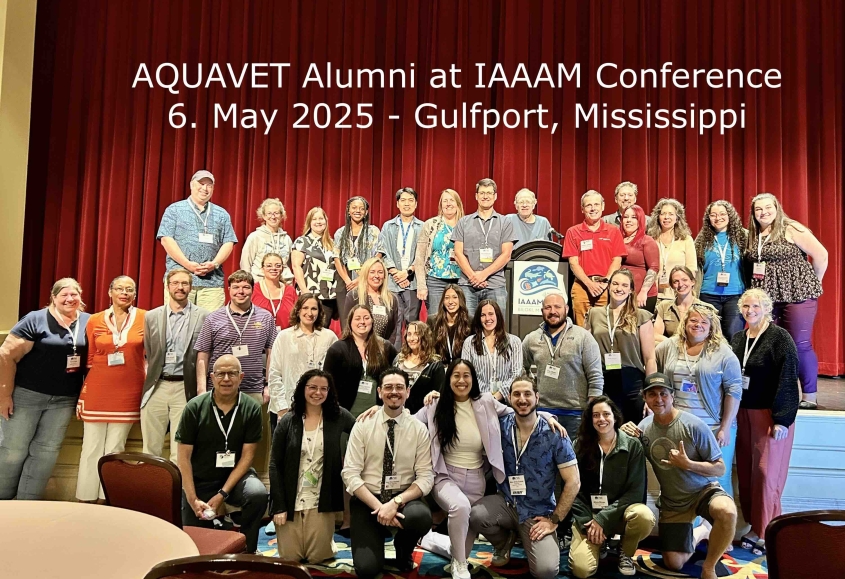 AQUAVET alumni at the International Association of Aquatic Animal Medicine