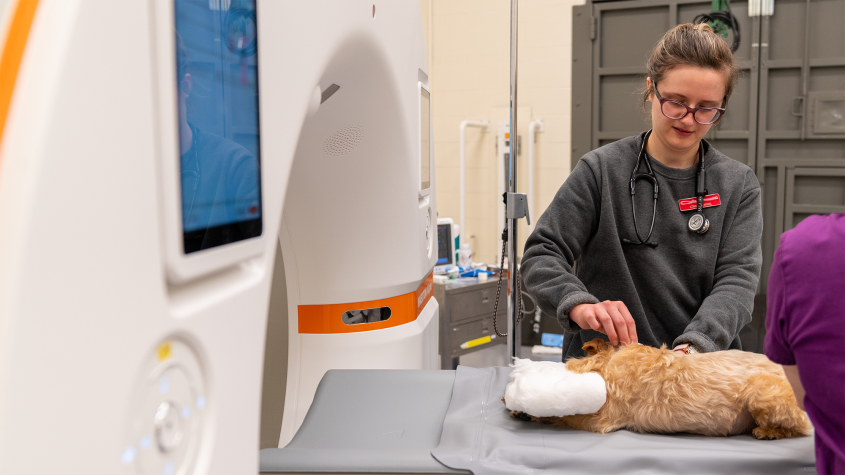 A student prepares a patient for a CT scan using the new machine