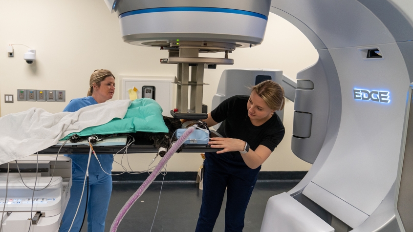 Two technicians position a patient on the linear accelerator