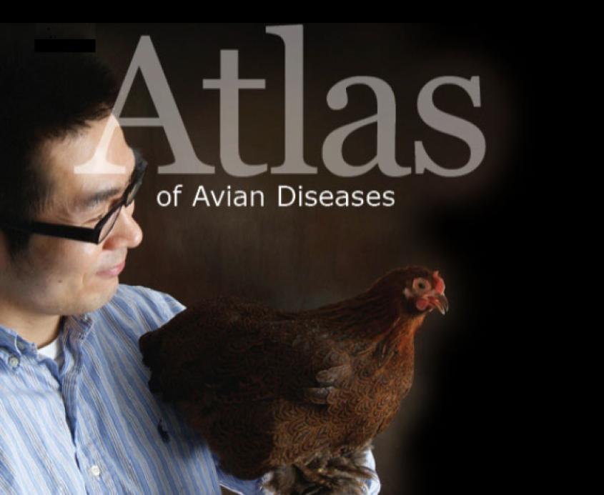 screenshot of the atlas of avian diseases defunct website