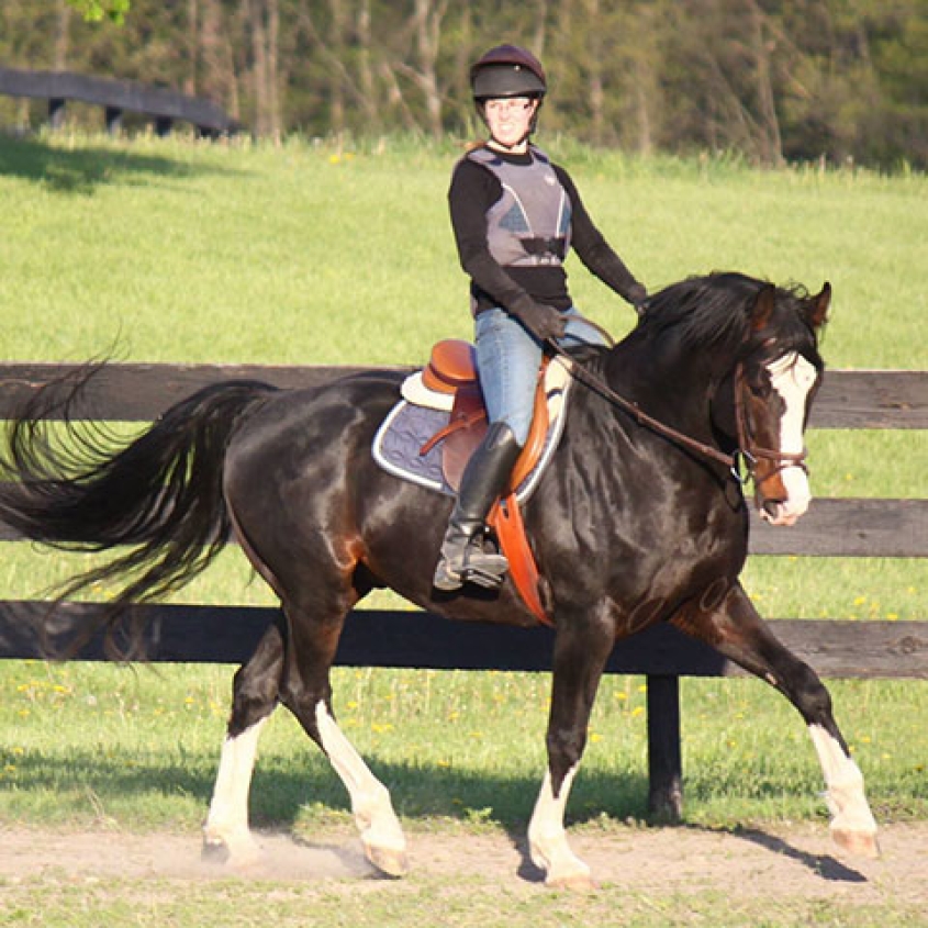 Waterford trotting with a rider
