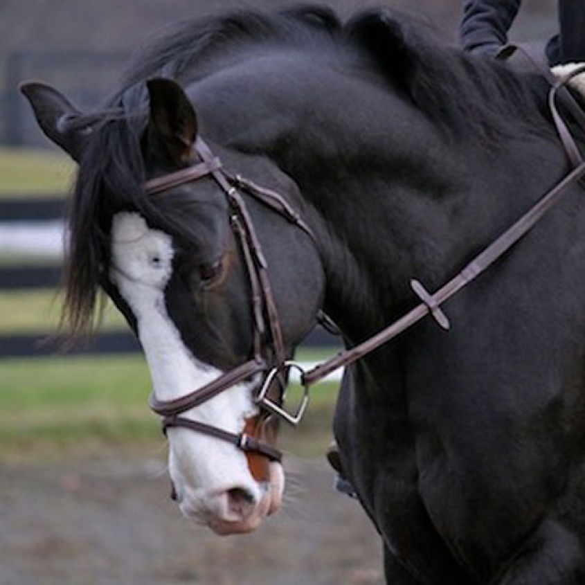 Close up of Waterford's face