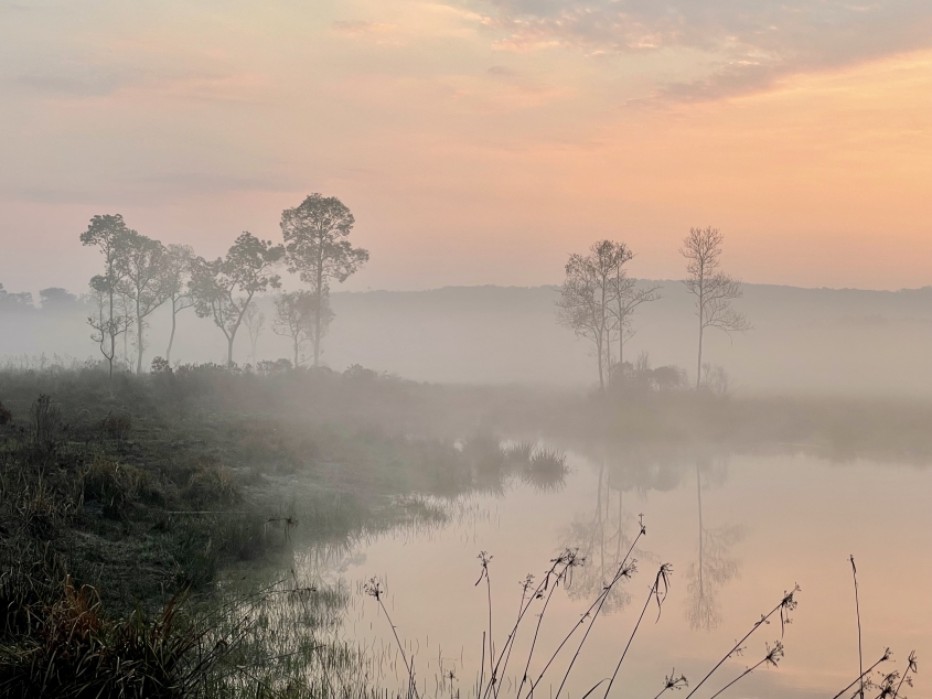 misty tropical landscape at sunset