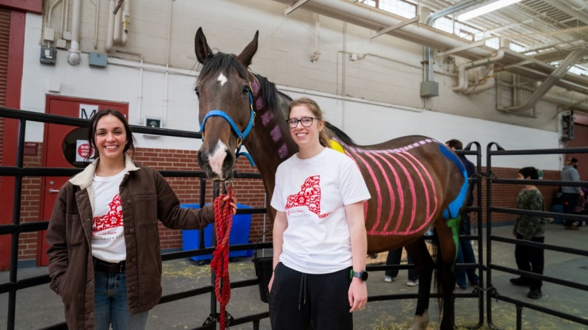 two vet students with a horse at the annual open house event