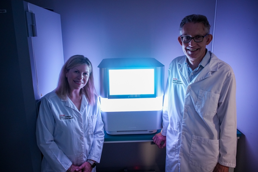A man and woman stand in lab coats in front of a bright screen emitting blue light. 