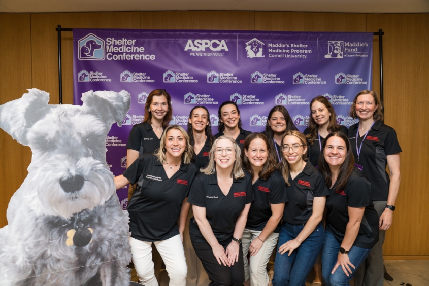 A group picture of the MSMP team at the conference