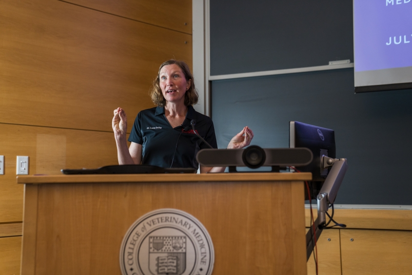 A speaker giving a talk at the conference