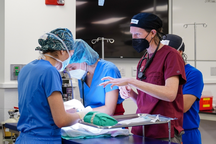 Professor in scrub teaching a student during a surgical procedure