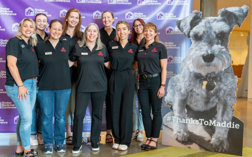 A group picture of the Maddie's Shelter Medicine Program team