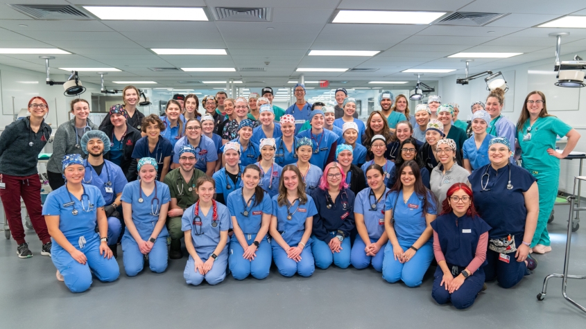 A group picture of vet students in scrubs and their teachers